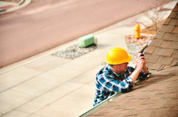Best Roof Moss and Algae Removal  in Point Marion, PA